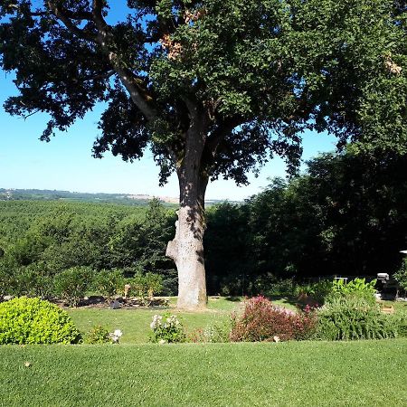 Bed and Breakfast La Chenaie Sainte-Marthe  Exteriér fotografie